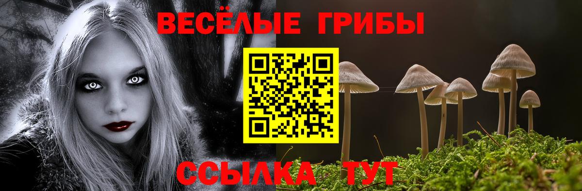 Псилоцибиновые грибы Psilocybine cubensis Тайшет